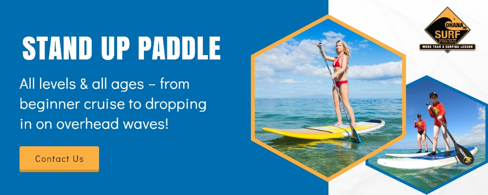 Ohana Surf Project-Waikiki surfboard rentals'