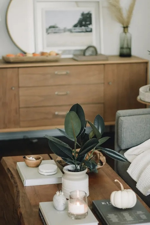 Company Logo For SD Luxury Home Staging'