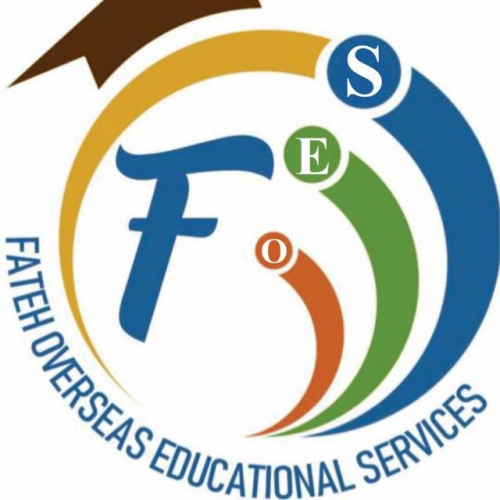 Company Logo For Fateh Overseas'