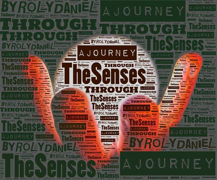 Journey through the Senses'