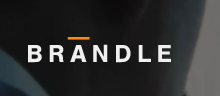 Company Logo For braendle limousine'