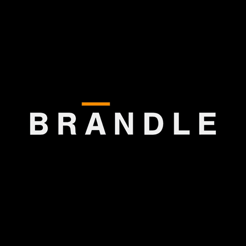 Company Logo For Brandle Limousine'