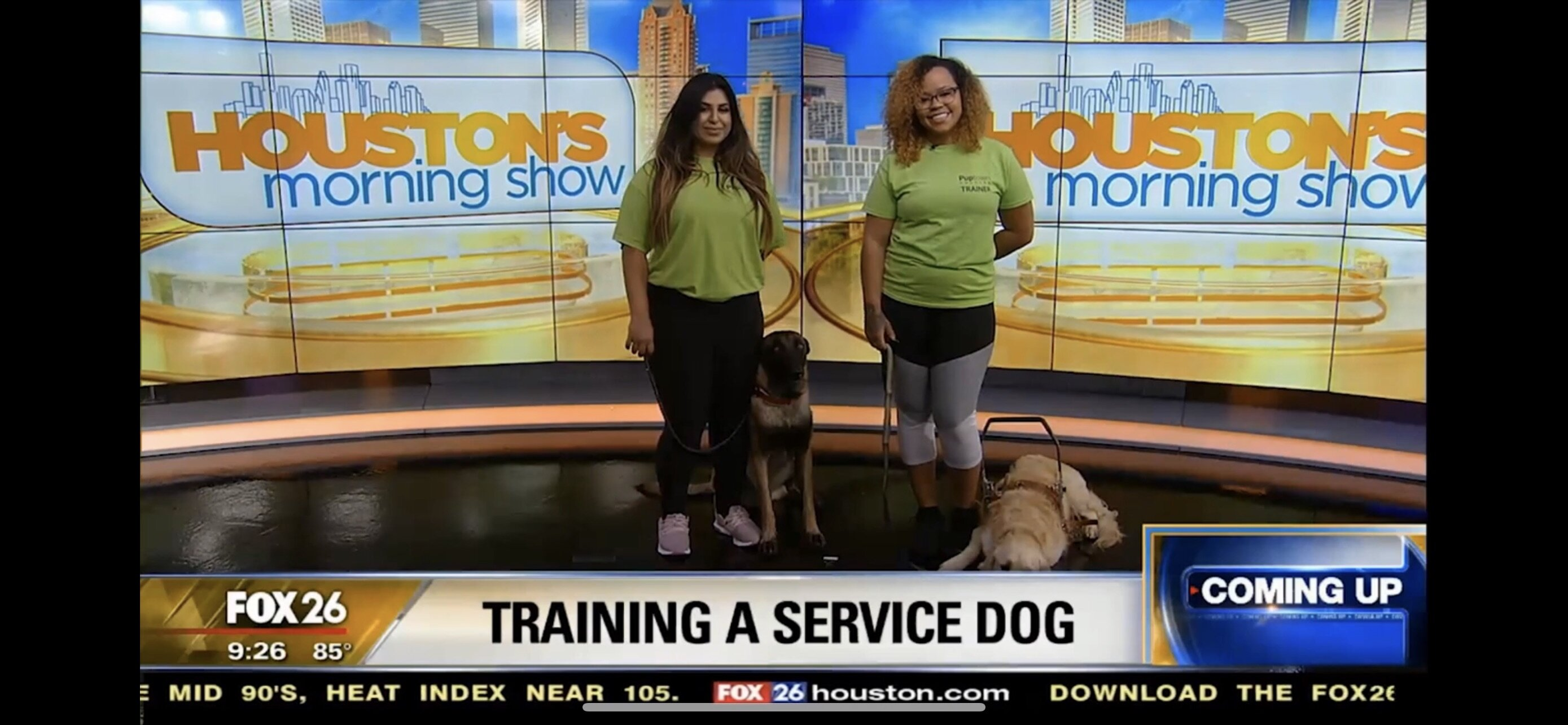 Company Logo For Puptown Houston'