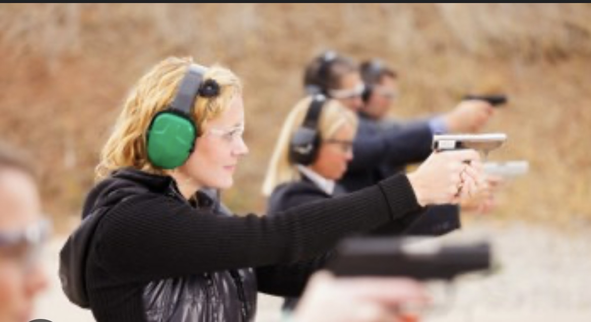 Company Logo For Fully Loaded Defense LLC'