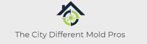 Company Logo For The City Different Mold Pros'