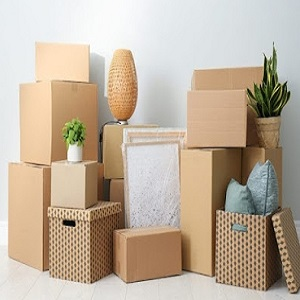 Company Logo For Colen Moving'