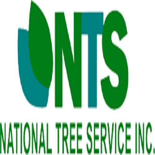 Company Logo For National Tree Service'
