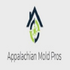 Company Logo For Appalachian Mold Pros'