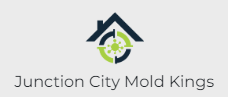 Company Logo For Junction City Mold Kings'