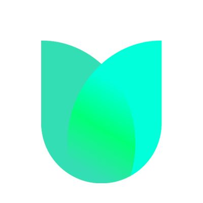 Company Logo For Meettulip'