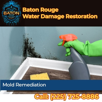 Company Logo For Baton Rouge Water Damage Restoration'