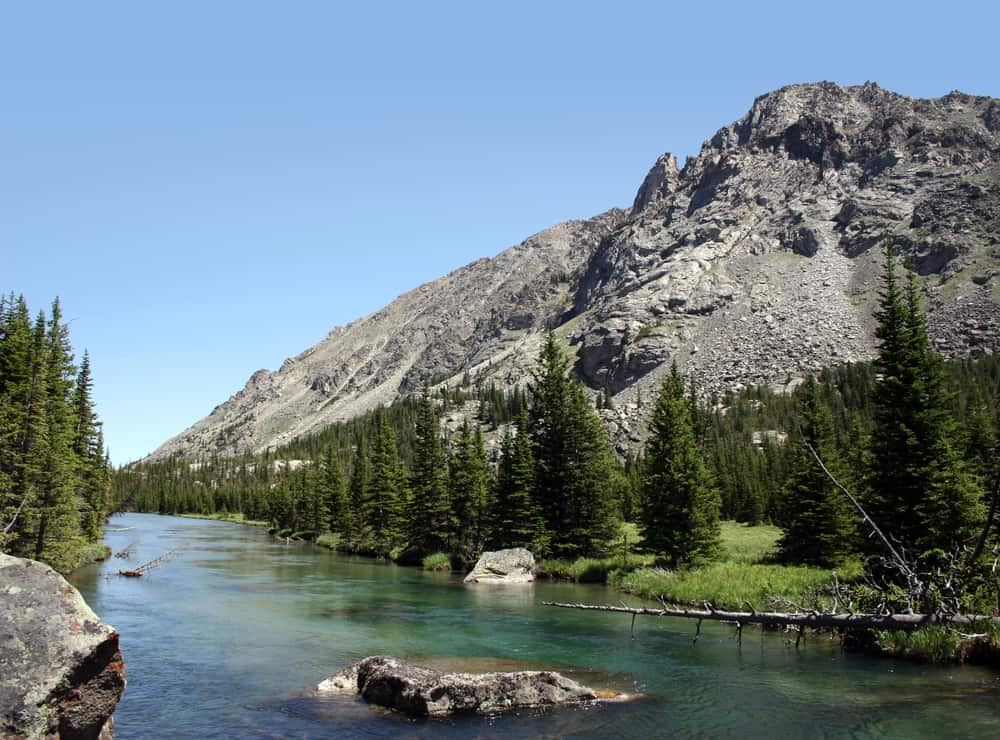 Missoula Fly Fishing Guides'