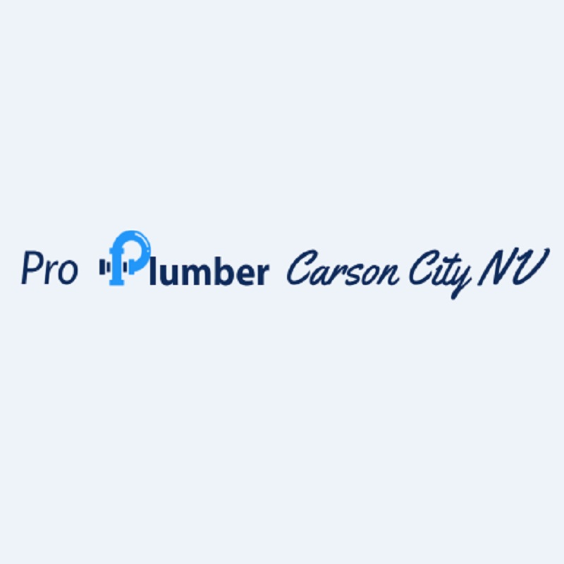 Company Logo For Pro Plumber Carson City NV'