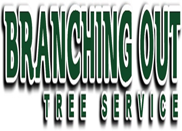 Company Logo For Tree Cutting &amp;amp; Trimming Plainview'