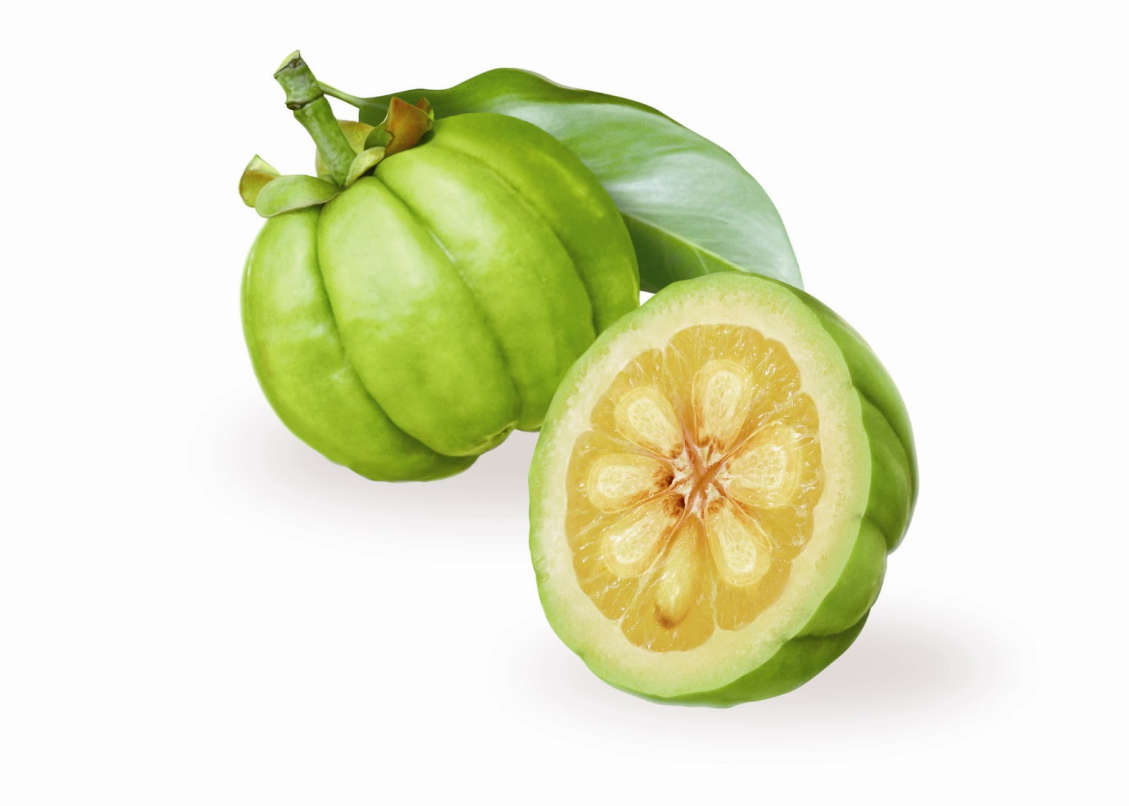 Garcinia Cambogia Review'