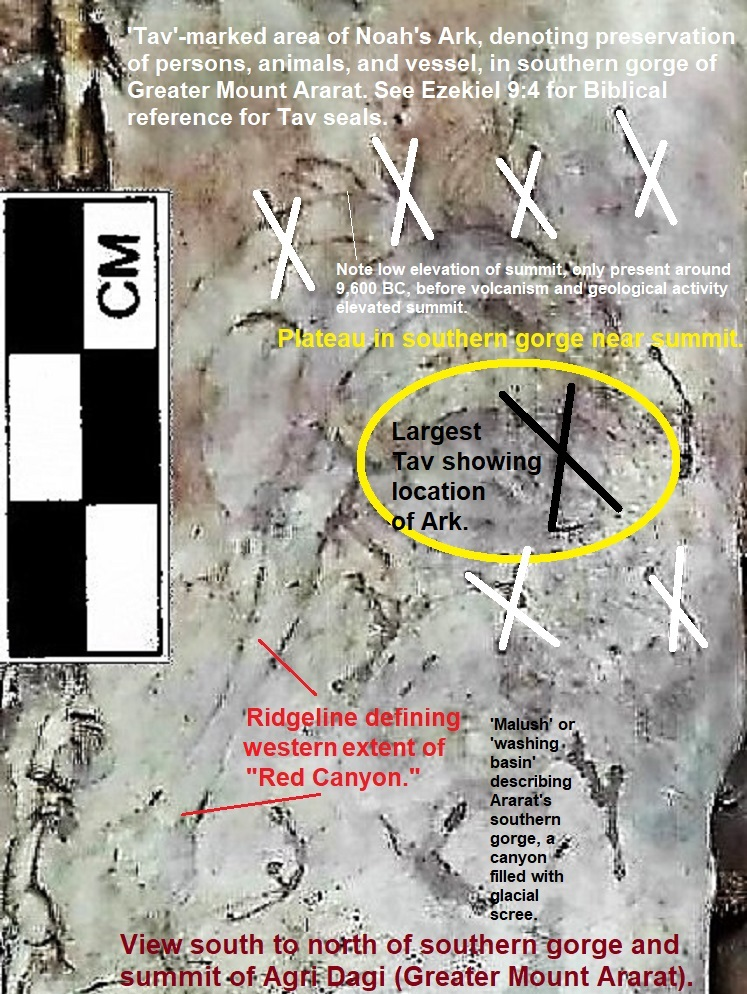 Dr. Joel Klenck, Noah's Ark Codex, Page 4 Image Analysis'