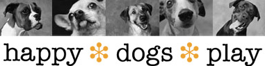 Company Logo For Happy Dogs Play'