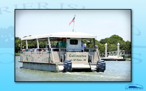 Charleston Boat Tours'