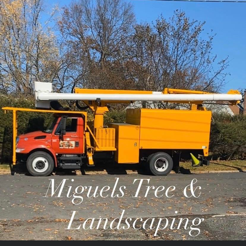 Company Logo For Miguels Tree &amp; Landscaping'