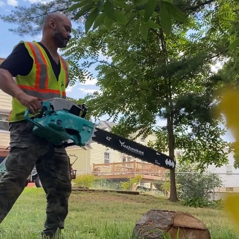 Company Logo For Miguels Tree & Landscaping'