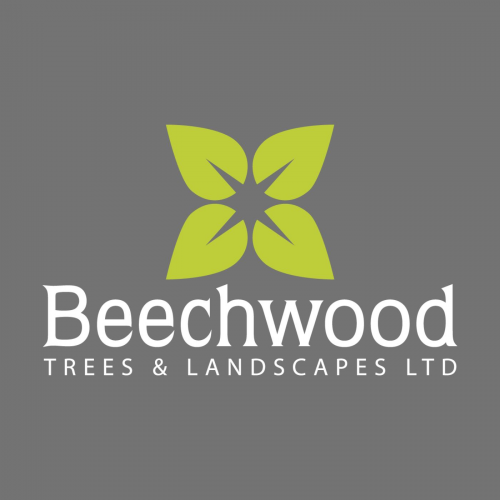 Beechwood Trees &amp; Landscapes Ltd'