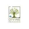 Company Logo For MJR Divine Meadows'