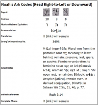 Dr. Joel Klenck, Noah's Ark Codex Translation, 4:8-10