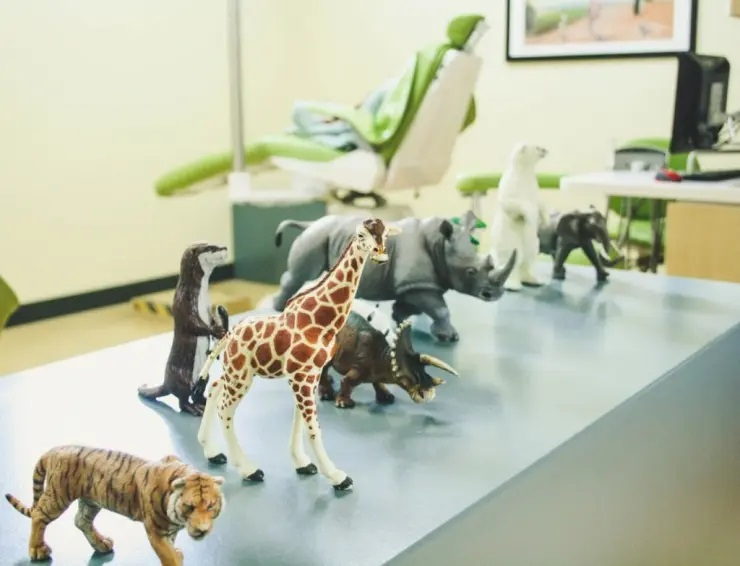 Portland Pediatric Dentist'