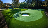 Home putting greens