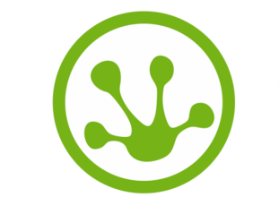 Green Frog Cleaning Logo'