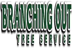 Company Logo For Branching Out Tree Service | Tree Company L'