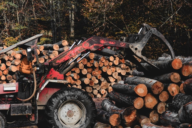 Company Logo For Tree Removal Companies'