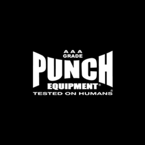 Company Logo For Punch Equipment'