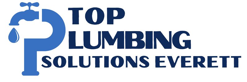 Company Logo For Top Plumbing Solutions Everett'