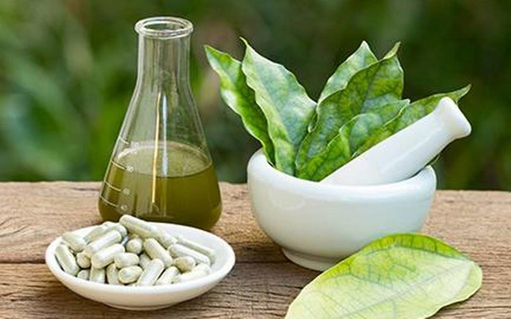 Herbal Nutraceuticals Market