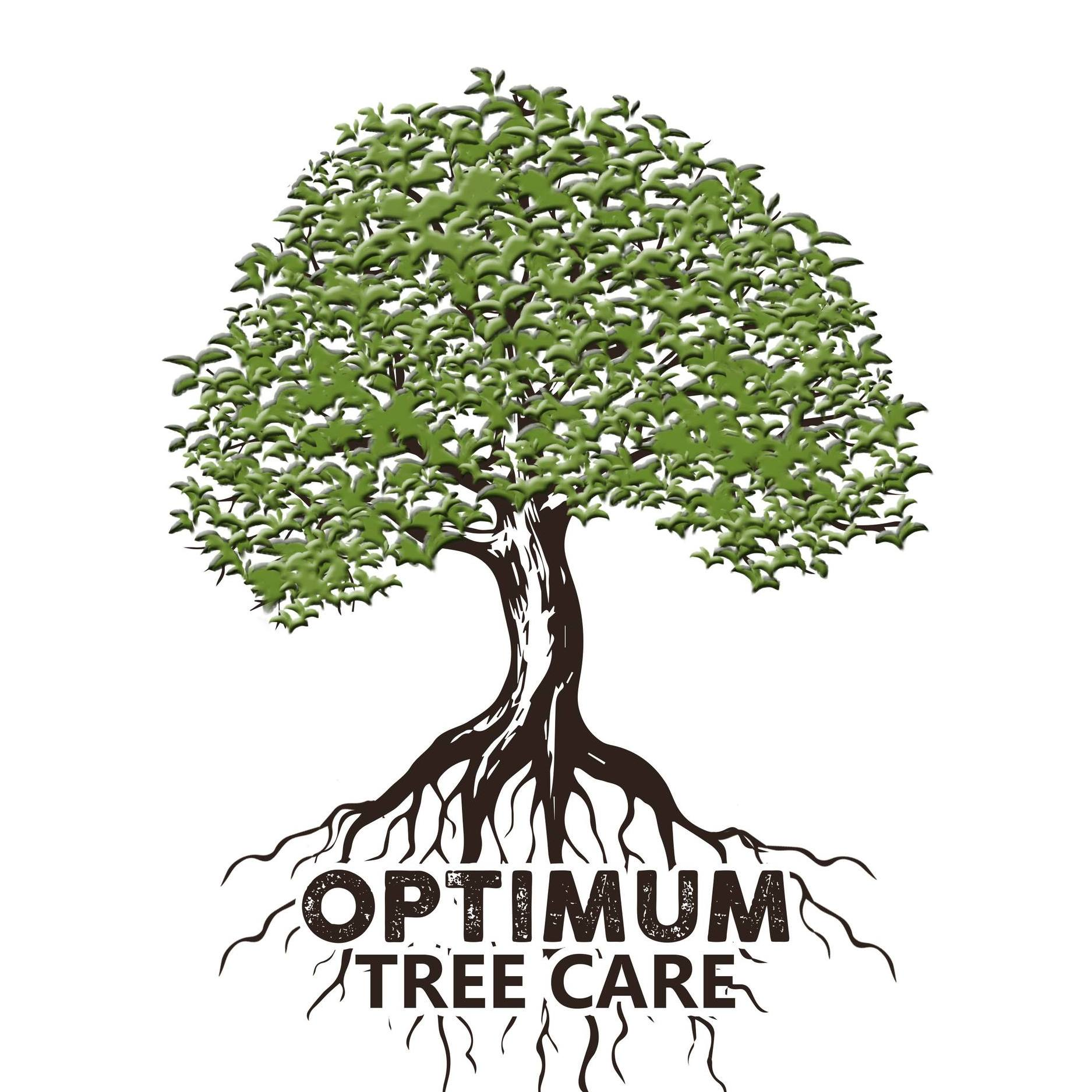 OPTIMUM TREE CARE'