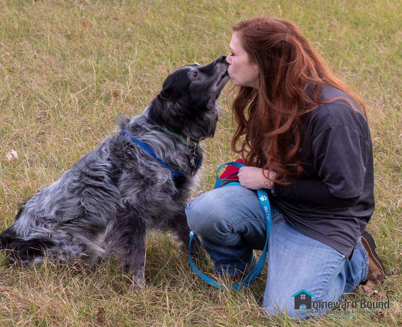 Company Logo For Homeward Bound Animal Behavior and Training'