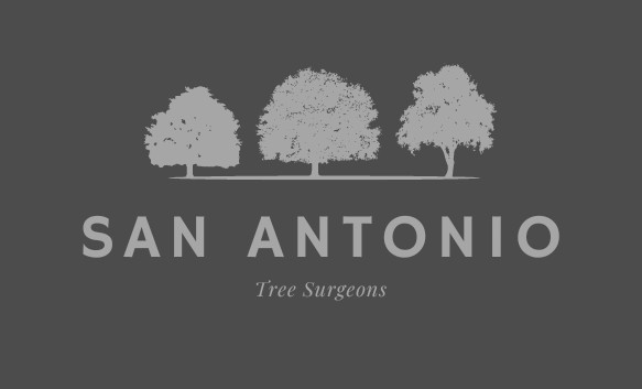 Company Logo For Professional San Antonio Tree Removal'