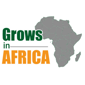 Company Logo For growsinafrica'