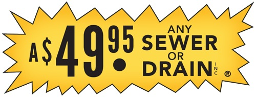 Company Logo For 49.95 Any Sewer or Drain'