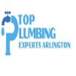 Company Logo For Top Plumbing Experts Arlington'