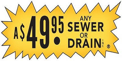 Company Logo For A 49.95 Any Sewer or Drain, Inc'