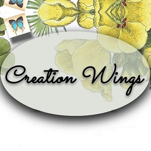 Company Logo For Creation Wings'