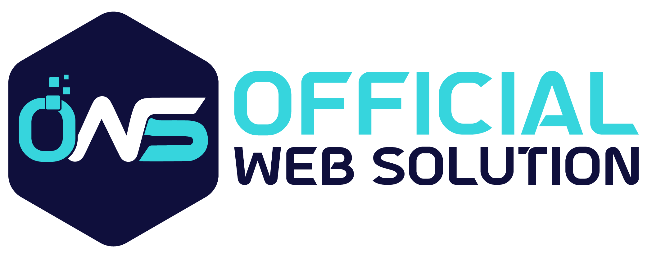 Company Logo For Official Web Solution'