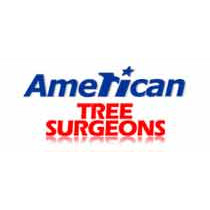 Company Logo For American Tree Surgeons'