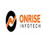 Company Logo For Onrise Infotech'