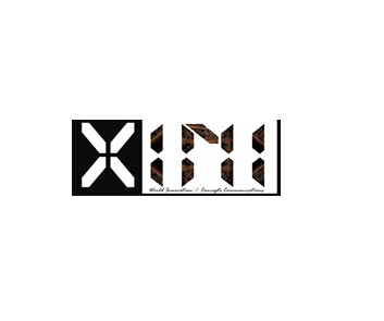 Company Logo For XINI'