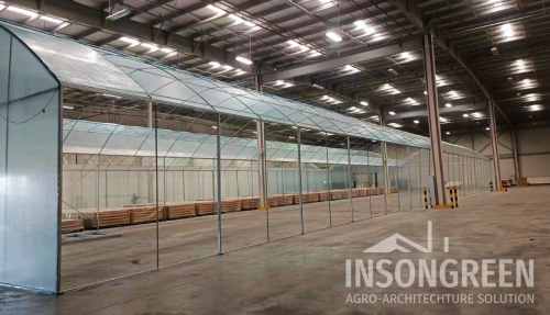 INSONGREEN - Poly Greenhouse Testing'