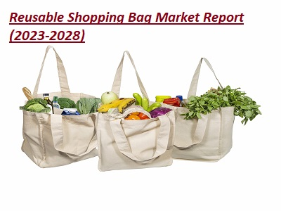 Reusable Shopping Bag Market'