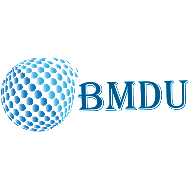 Company Logo For BM Digital Utilization'